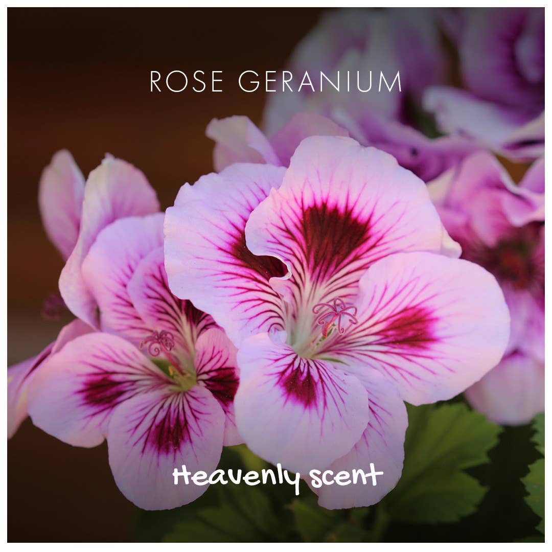 Rose Geranium - Naked and Natural - Bath Soap