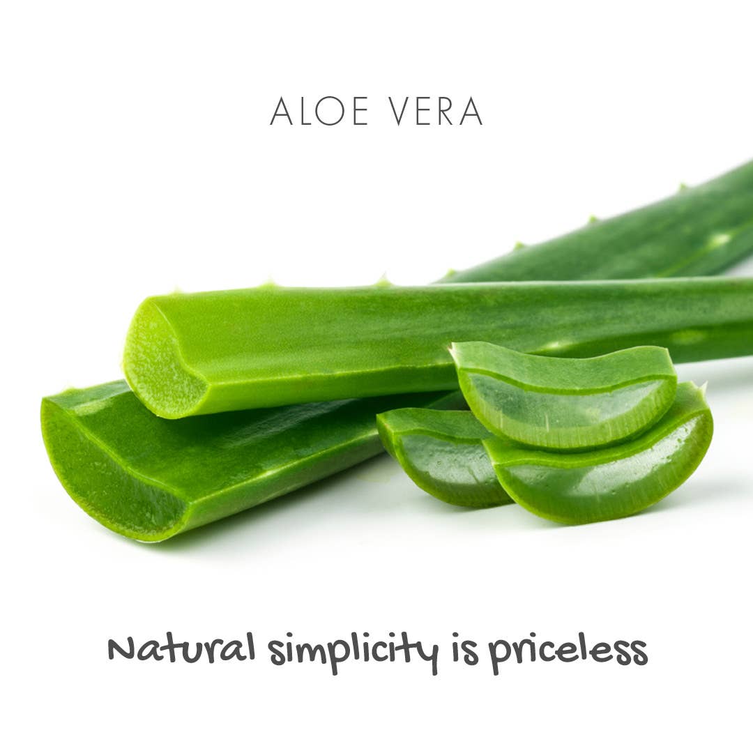Friendly Soap Fragrance-Free Aloe Vera Bar – Gentle, Hydrating & Plastic-Free Aloe Vera