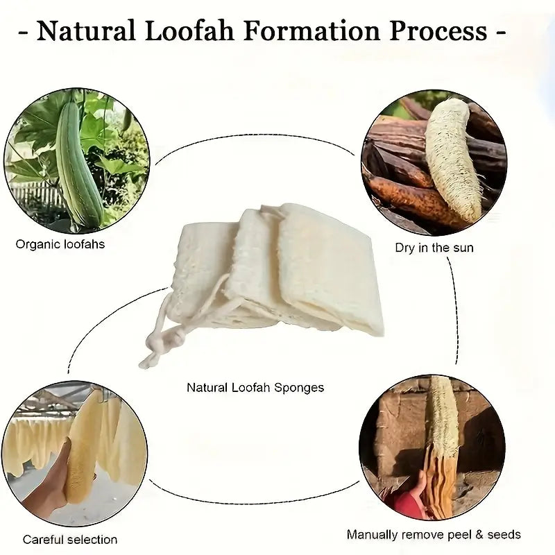 Natural Exfoliating Loofah Process