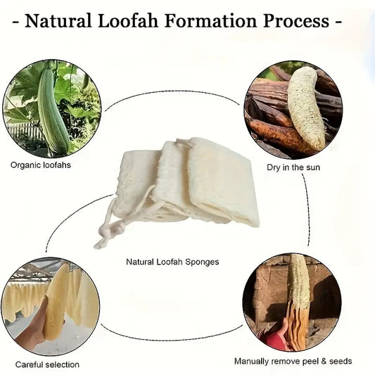 Natural Exfoliating Loofah Process