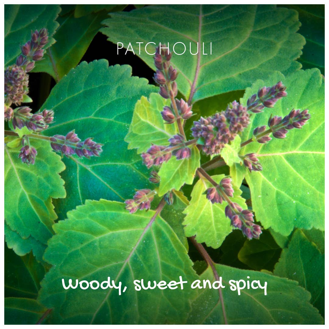 patchouli scent details