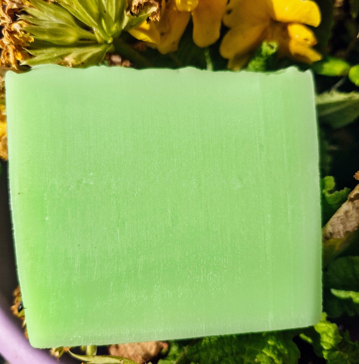 Handcrafted Forest Wisp Soap - Eucalyptus & Rosemary. LIMITED EDITION - The Druid's Grove