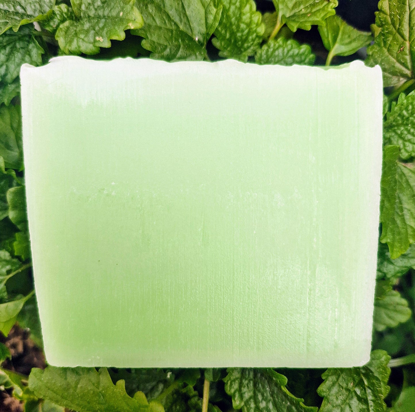 Handcrafted Forest Wisp Soap - Eucalyptus & Rosemary. LIMITED EDITION - The Druid's Grove