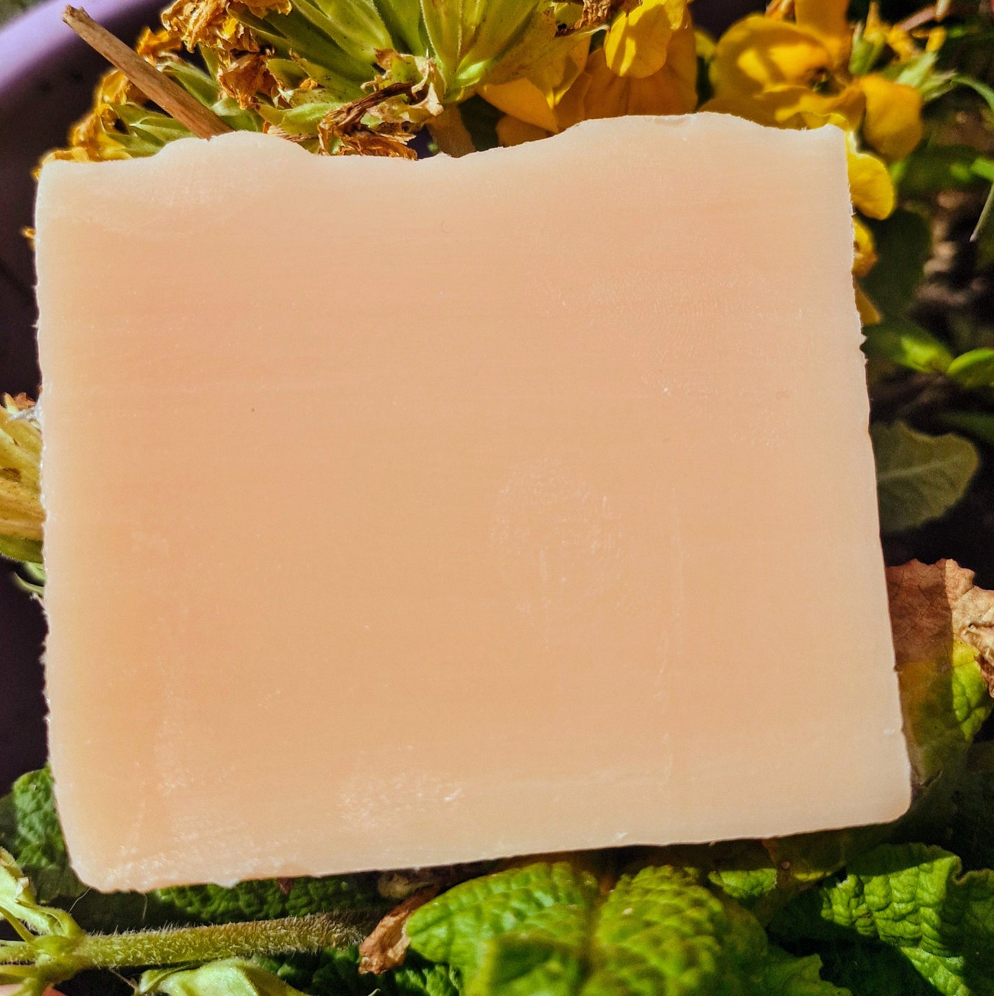 Handcrafted Orchard Grove Soap Bar - Apple & Peach - LIMITED EDITION - The Druid's Grove