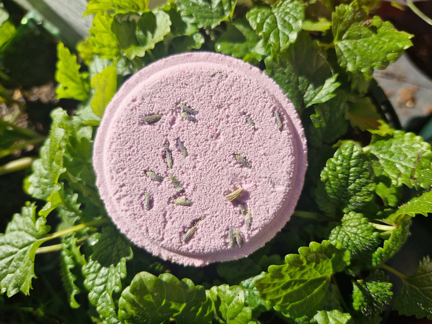 Lavender Haze – Zen Shower Steamer in the mint leaves