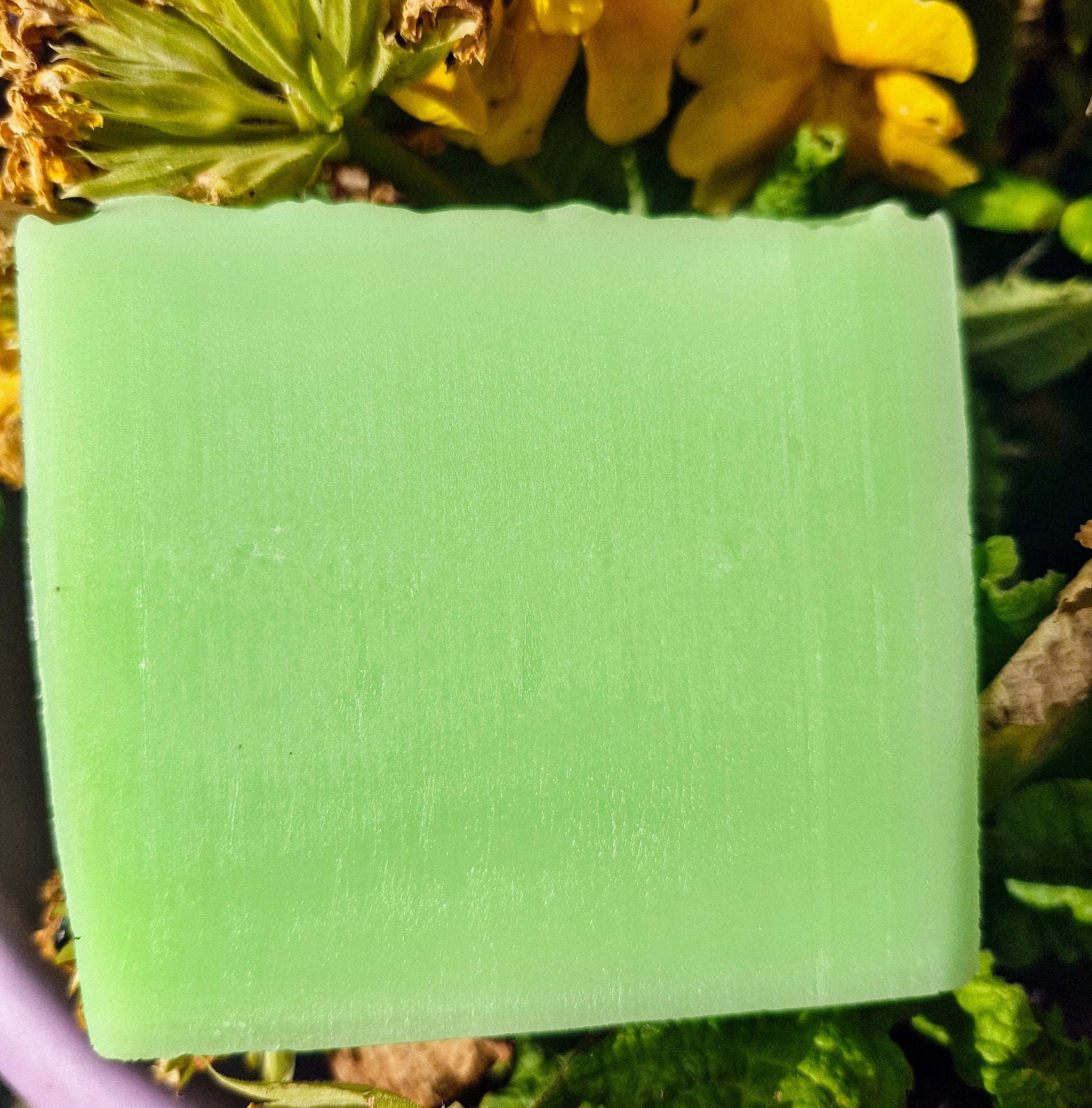 Handcrafted Forest Wisp Soap - Eucalyptus & Rosemary. LIMITED EDITION - The Druid's Grove 
