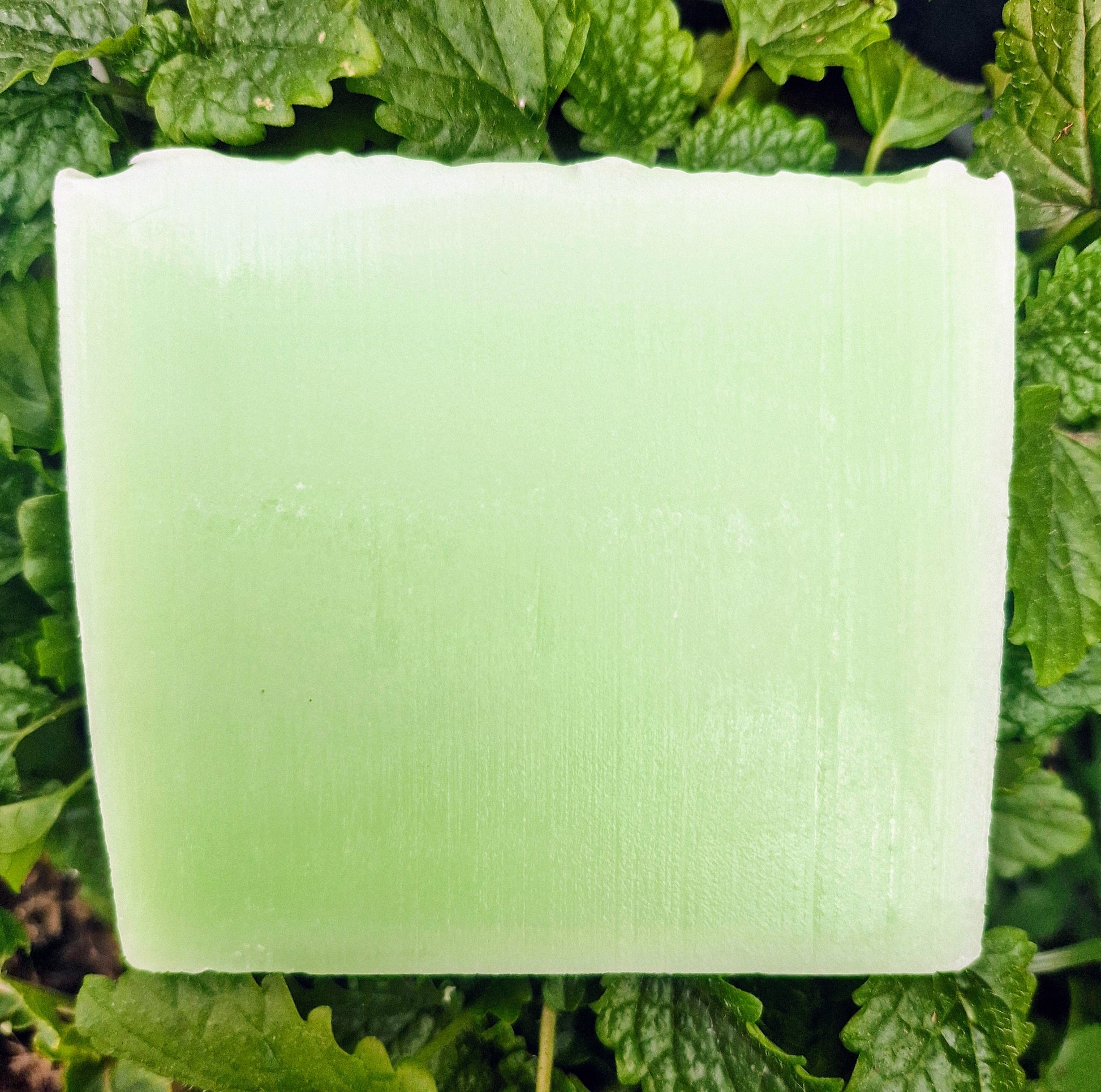 Handcrafted Forest Wisp Soap - Eucalyptus & Rosemary. LIMITED EDITION - The Druid's Grove 